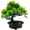 Dekorative Blumen Gefälschte Künstliche Topfpflanze Dekor Bonsai Baum Dekorieren Schreibtisch Dekorationen Pflanzen Für Zuhause Innen