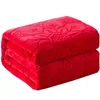 Warme dicke Plüschdecke für Erwachsene und Kinder, weiche Winterbettdecken, flauschige Fleecedecken, Sofabezug, Bettlaken, Tagesdecke auf dem Bett 240109