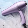 220V Household Hair Dryer High Power 1200W Electric Hair Dryer Hair Dryer Household Salon Hairdressing Blow Cartridge EU Plug 240110