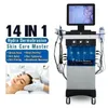 14에서 1 in 1 hydra 다이아몬드 껍질 링 하이드로 미세 박피기 산소 제트 아쿠아 얼굴 청소 Hydra Dermabrasion Facial Machine