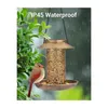 Altre forniture per uccelli Alimentatore solare in metallo selvaggio per cardinali Lanterna da giardino con gancio a S