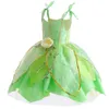 Tutu Dress Kid Girls Princess Fairy Costume Sleeveless Wing Costumes Cosplay Carnival Halloween Party 240109