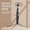 Selfie-Einbeinstative Der neue P530 Metallstativ Selfie-Stick Universeller Bluetooth-Selfie-Stick Handstabilisator Live-Übertragung Landung YQ240110