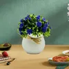 Decoratieve bloemen Hoge nep-potplanten Realistisch Kleine wilde chrysant Bonsai Levendige huisdecoratie met niet-vervagend Voor Rustiek