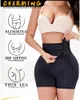 Sexig Big Ass Hip Enhancer Padded Fake Butt Lifter Body Shaper med krokar Hög midjetränare Slimming Tummy Control Trosies S6XL 240110