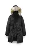 vrouw doudoune bladerdeeg jas winter fleece jas designer dames canadezen ganzen jas parkers winterjas capuchon dikke warme vrouwelijke jassen Y2