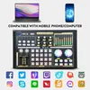DJ18 Sound Card Studio Record Professional Mixer Singing Noise Reduction Microphone Voice BM800 Live Broadcast Mick Tok Music 240110
