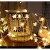 Strings USB Star String Lights 19,7 pieds 40 LED blanc chaud pour chambre à coucher fête de mariage Noël lumière de vacances