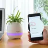 Altoparlanti Musica impermeabile Bonsai Vaso da fiori Altoparlante Bluetooth senza fili Lampada da luce notturna Altoparlante musicale Bluetooth per telefono cellulare