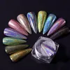 12pcs Kit Holographic Nail Powder Glitter Silver Series Nail Sequins Pigments Nail Art Flakes Decoration DIY Polish Tools 240109