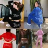 2024 2024 Spring Women's Two Piece Pants Veet Juicy Tracksuit Women Coutoure Set