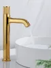 Bathroom Sink Faucets Golden Heightened Cabinet Basin Table Art Single Hole Copper And Cold Faucet