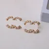 20Gemengde 18K Vergulde Luxe Merk Designer Letters Stud Oorbel Beroemde Vrouwen Parel Letter Oorbel Hoge Kwaliteit Sieraden 925 Zilver