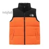 Gilets pour hommes Northfaced Designer Gilet Top Qualité Hommes Puffer Gilet Hommes Mâle Hiver Unisexe Couple Bodywarmer Femme Mans Veste 84xmbxtw BxtwRBGG RBGG