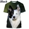 T-shirts masculins Border Hot Collie 3D Print T-shirt mignon Coup d'impression de chien Unisexe Unisexe Contrôle à manches courtes pour hommes Womenl240110
