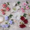 6 Dahlia Ramo singolo Dahlia Guanyin Crisantemo Finestra Paesaggio Fiore di seta Abito da casa francese Floricoltura Fiore finto TY