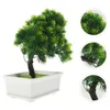 Fiori decorativi simulati pianta in vaso finto pino artificiale bonsai mini simulazione piante verdi scrivania per la casa soggiorno arredamento