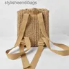 Backpack Style New style double-shoulder str woven bag with hand-carrying woven backpackstylisheendibags