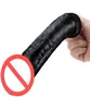 Accessori per macchine del sesso C19 Super Big Black Dildo Pene enorme 26 cm Lunghezza 55 cm Larghezza Giocattoli del sesso per le donne7238203