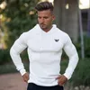 Mode Gebreide T-shirt Met Capuchon Mannen Pit Streep Slim Fit Dunne Truien Heren Truien Met Lange Mouwen Knittwear Mannen Casual t-shirt 240109