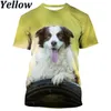 T-shirts masculins Border Hot Collie 3D Print T-shirt mignon Coup d'impression de chien Unisexe Unisexe Contrôle à manches courtes pour hommes Womenl240110