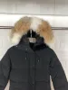 Casaco feminino jaqueta de inverno com capuz/snowdome jaquetas de pele de lobo real gola pato parkas fábrica casacos claros blusão quente zíper grosso parka