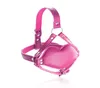 Nieuwigheid PU Leer Open Mond Gag Harnas Bal Bondage Hoofddeksels Paar Spel Flirten Orale Seks Product Voor Vrouw Man4738413