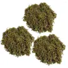 Fleurs décoratives 3 packs Moss Floral artificiel préservé pour vinaigner des plantes en pot terrariums 150g