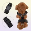 Air Mesh Puppy Pet Dog Carness Pas bezpieczeństwa Klip bezpieczeństwa ołowiu dla psów podróżniczych oddychające dla zwierząt domowych LJ2012012105151
