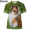 T-shirts masculins Border Hot Collie 3D Print T-shirt mignon Coup d'impression de chien Unisexe Unisexe Contrôle à manches courtes pour hommes Womenl240110
