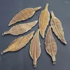 Pendant Necklaces Natural Stone Drawing Leaf Feather Picture Necklace Sweater Chain Stylish Reiki Charm Jewelry Accessories Wholesale 5Pcs