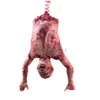 الحفلة الديكور الدموي جثة هالوين سبوكي معلقة أشباح مخيفة سكاري سكري ديكور مسكون الرعب Prop Y2010062315498 DROP