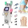 Best Hot Cryo 360 Cryolipolysis Machine Fat Removal Machine Cryolipolysis Slimming Machine Fat Freezing Beauty Device