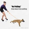 Hondenriemen Sliptouw Loodlijn Sterke, zware gevlochten touwen Geen trek Trainingslijnen Halsband voor middelgrote en kleine honden BJ