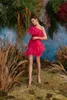 Vestidos informales Llegada Fucsia Vestido corto de tul de fiesta con tren desmontable Un hombro con volantes Malla Alto Bajo Fiesta formal personalizada