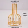 Vaser 1 Uppsättning av kreativt guld smidesjärn Metall Vas Hydroponic Container Test Nordisk stil Vardagsrum Illustration Dekoration