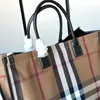 Fashion Designer bag High quality new color new plaid can hold size45X32cm shopping bags Hand-held crossbody bag