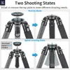 Tripods Innorel Nt364c Professional Carbon Fiber Camera Tripod Birdwatching Heavy Duty Tripod 75mm Bowl Adapter for Dslr Video Camcorder