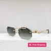 Lunettes de soleil de styliste, nouvelle boîte Kajia, Ins Star Network rouge, même lunettes de soleil simples et avancées CT0120o S2AF