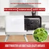 Commercial Green Onion Shallots Scallion Shredder Maker Small Automatic Electric Portable