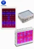 Full Spectrum 1000w 1200W 1600W 2000W LED Grow Light Double Chip Led Plant Lamp Indoor greenhouse growing garden flowering hydropo1951009