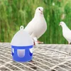 Autres fournitures d'oiseaux 2pcs Distributeur d'eau Réutilisable Pigeon Feeder Accessoire portable