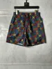 Zomer badmode heren boardshorts Letterpatroon Designer Mode Casual Sport Hardlopen Fitness Kust Surf Ademende strandzwemshorts