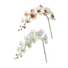 110 cm 11 Jedwabny Orchid Phalaenopsis Flower DIY Wedding Bukiet sztuczna roślina Fałsz motyla Dekoracja domu 240111