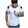 Camiseta masculina verão manga curta camiseta em torno do pescoço ombro cor combinando casual esportes masculino algodão sólido