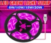 Grow Lights USB Phytolamps a spettro completo LED Light 5V Crescita delle piante 05 1 2 3M Striscia flessibile Lampada per semi di tenda impermeabile6956345