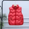 Gilets pour femmes Femmes 2024 Automne Hiver Puffer Gilet sans manches Femme Col montant Down Coton Manteau Dames Chaud Couleur Solide E322