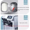 Machine Automatic Hard Soft Frozen Fruit Dessert Machine Fruit Ice Cream Machine Maker Milk shake 220