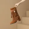 Frosted Tassel Boots High Heeled Mid-Calf Boots Thick Heeled Women's Boots Autumn and Winter