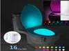 Intelligente Nachtlicht-Sensor-Toilettenlampe, 8 Farben, Hintergrundbeleuchtung, aktivierte Toilettenschüssel, LED-Luminaria-Lampe, Nachtlicht, PIR5656446